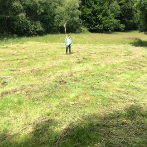 BullaceHill - 38